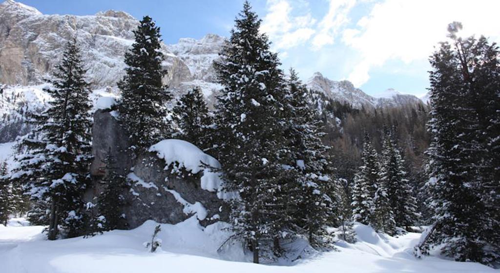 Hotel Meisules Selva di Val Gardena Exterior photo